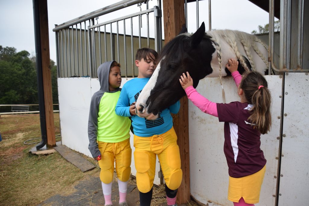 mimosa farm 10-2019 024 (1024x683).jpg